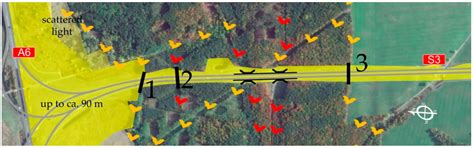 Determinants of the Performance of Bat Gantries Installed to Carry Bat ...