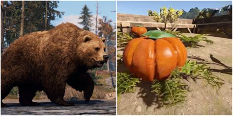 Rust DLC 的图像结果