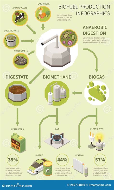 Biofuel Process 的图像结果