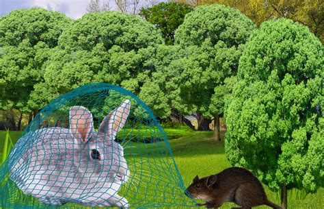 खरगोश और चूहा की कहानी | Khargosh aur Chuha ki kahani in hindi