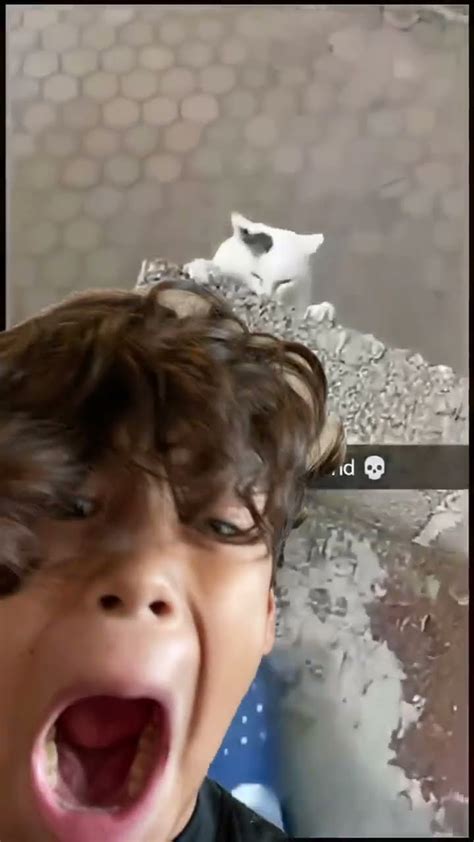 First Ever Greenscreen 的图像结果