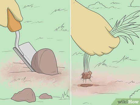 Image result for Leveling Dirt Using String Line