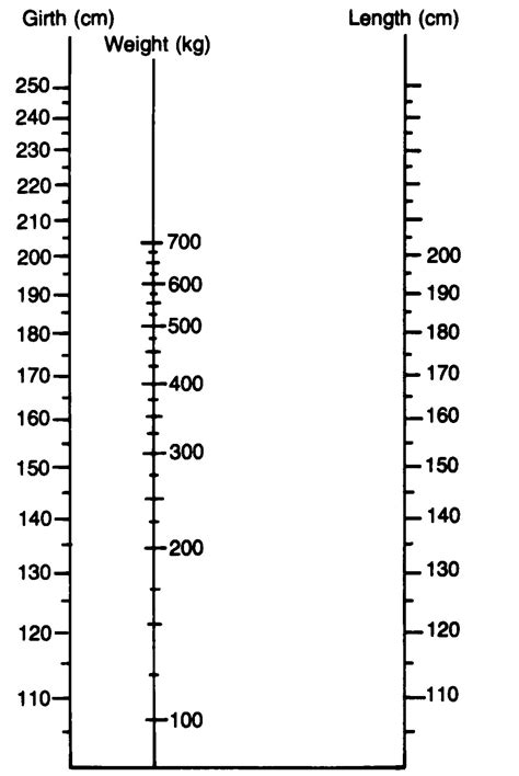 Average Horse Weight