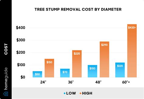 2025 Tree Stump Removal Cost | Average Prices & Calculator