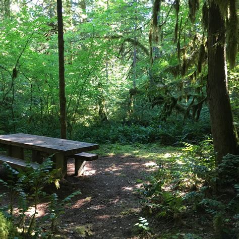 McKenzie River Trailhead at Paradise Campground | The Dyrt