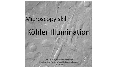 Image result for Microscope Alignment