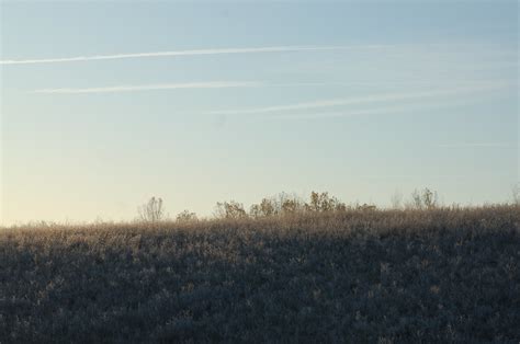 Spring Mill Pond | Flickr