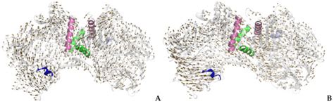 Structural Dynamics of DPP-4 and Its Influence on the Projection of ...