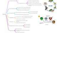 Mindmap: Ecosystems - Biology Class 12 - NEET PDF Download