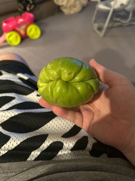 Image result for Alien Fruit