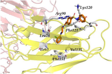 Small Molecules as Toll-like Receptor 4 Modulators Drug and In-House ...