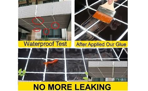 Rushwak Crack Seal Agent 300gm with Brush Transparent Waterproof Roof ...