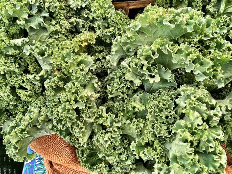 A Stroll Through the Hudson Farmers Market - Ted Kennedy Watson