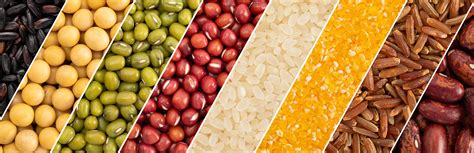 Image result for Sorting Automation Machine