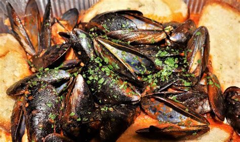 Image result for Musselshell High Resolution