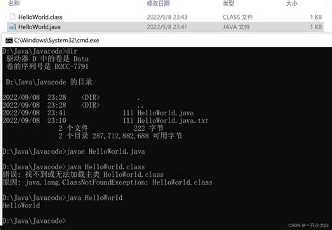 Java 2.0 Coding 的图像结果
