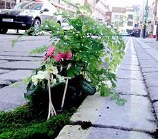 Miniature Garden Design Ideas Potholes Cracks Clever Landscaping Ideas by Miniature Garden Design Ideas For Potholes And Cracks Miniature Garden Design Ideas Potholes Cracks Clever Landscaping Ideas