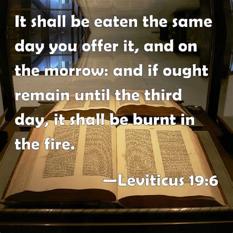 Leviticus 19:6 It shall be eaten the same day you offer it, and on the ...
