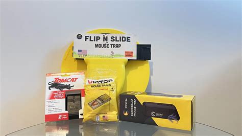 Image result for Best Mouse Trap Designs