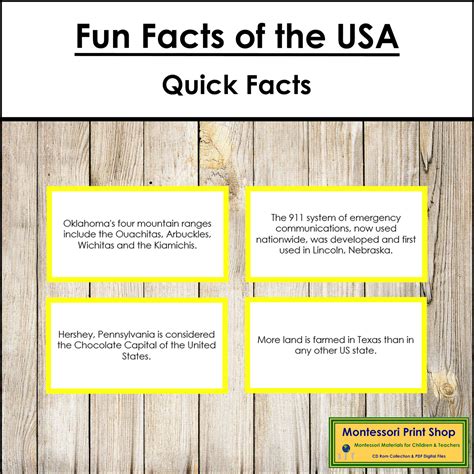 Fun Facts of the United States (color borders) | Made By Teachers