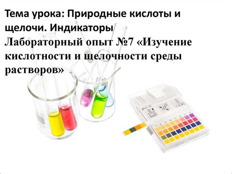 Природные кислоты и щелочи. Индикаторы. Лабораторный опыт №7 «Изучение ...