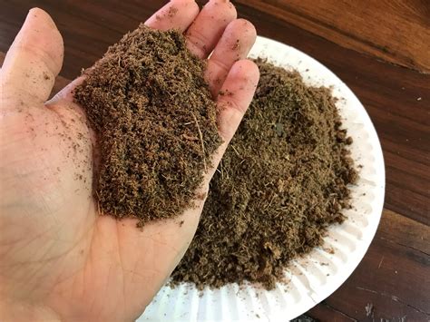Professional Grade Sphagnum Peat Moss (pure Canadian Fibrous Blond ...