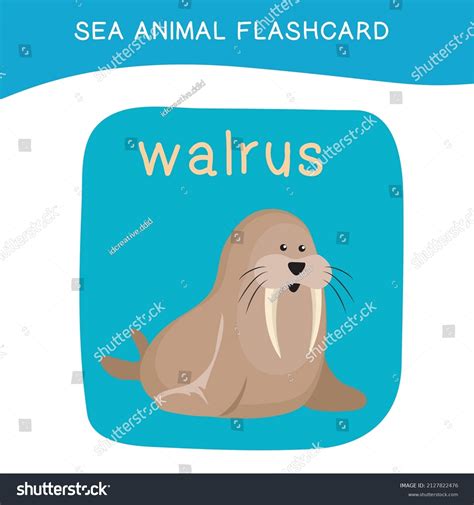 Sea Flashcard 的图像结果