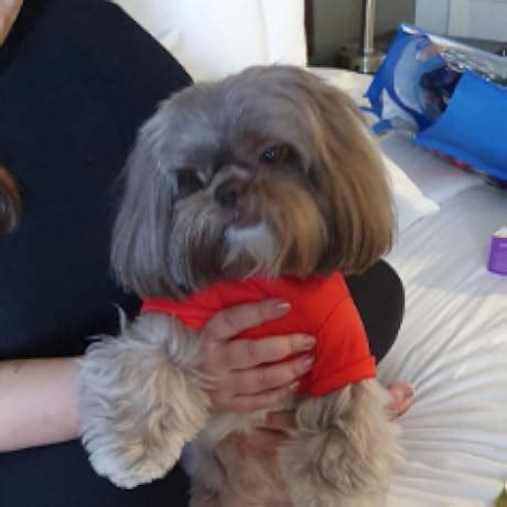 EltaMD UV Clear Facial Sunscreen SPF 46 - For Skin Types Prone To Acne ...