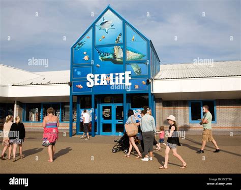 Sealife attraction Great Yarmouth, Norfolk, England Stock Photo - Alamy