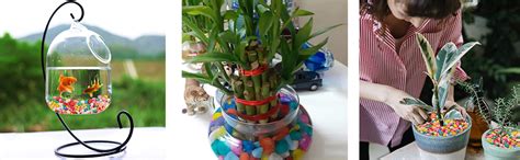 Schmick 2 Kg Multi-Color Pebbles for Decoration - Pebbles for Plants ...