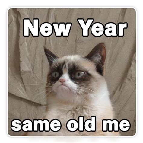 50+ Happy New Year Memes, Images, Wishes & Cards 2025 [FREE Download ...