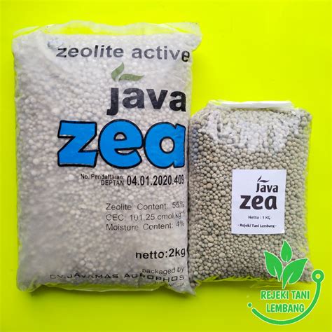 Active Java 的图像结果