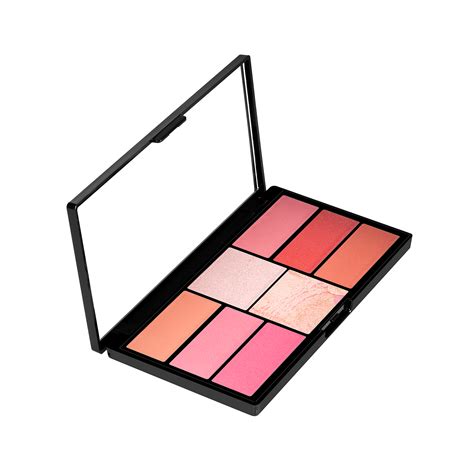 Shop Best Pro Blush & Highlighter Palette by Swiss Beauty
