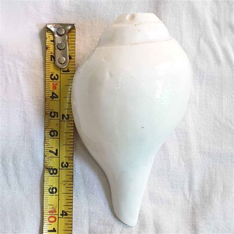 Valampuri Shankh | Conch | Blowing Shankh Length 3 inch – Shiv Kripa ...