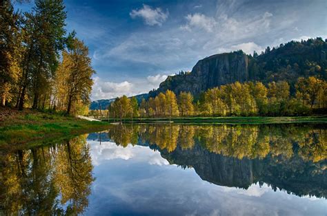 Are Dogs Allowed At Rooster Rock