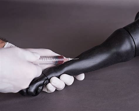 Image result for Veterinary Simulation Surgery