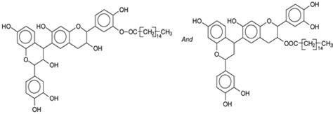 Development of Water Repellent, Non-Friable Tannin-Furanic-Fatty Acids ...