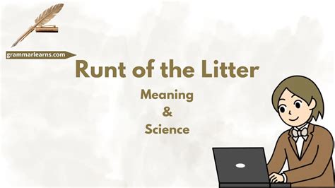 Runt of the Litter – Meaning & Science - grammarlearns.com