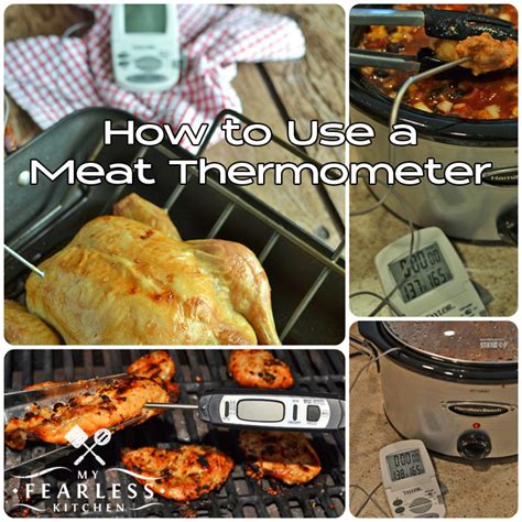 Image result for Meat thermometer Cooking Tips