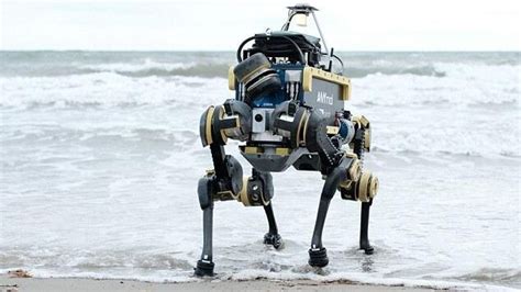 Robot Walking 的图像结果