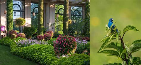 20 Easy Steps that will help in bringing Biodiversity through your ...