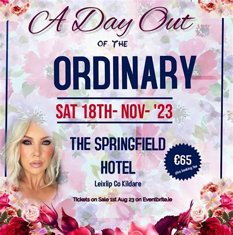A Day Out Of The Ordinary 4.0, Springfield Hotel, Leixlip, 18 November ...
