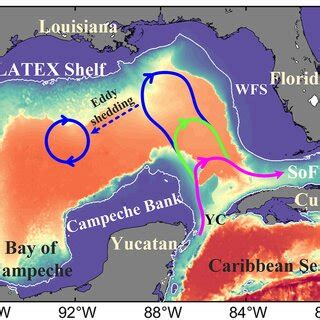 Image result for Loop Current