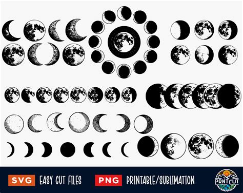 8 Moon Svg Bundle, Moon Phase SVG Png, Lunar Phases Svg, Moon Phase Clip Art, Crescent Moon Svg ... - Moon Phases Clip Art