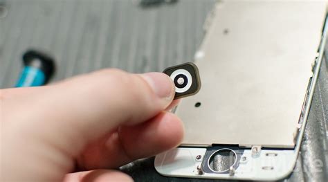 Image result for iPhone Home Button Module