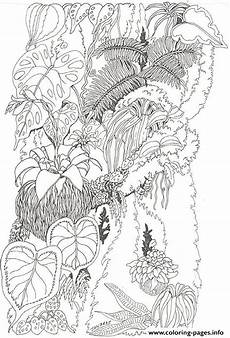 malvorlagen urwald umbrella mural coloring tree trunk 1 by jan brett coloring malvorlagen urwald umbrella mural coloring tree trunk 1 by jan brett coloring