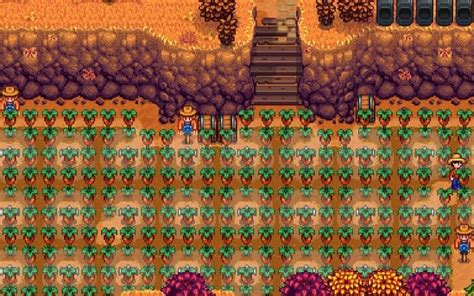 Rare Seed Stardew Valley Guide - SDew HQ