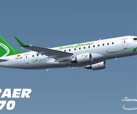 Image result for FS2004 Repaint Tutorial