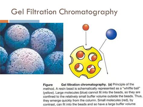 Image result for Purifying GFP Using Column Chromatography