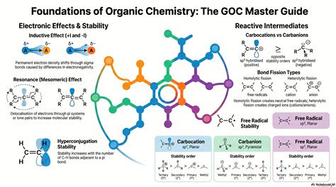 Organic Chemistry Some Basic Principles and Techniques Class 11, JEE